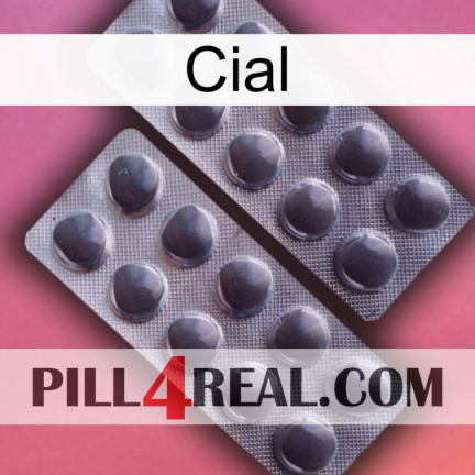 Cial 31